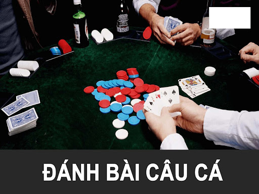Chiến thuật giúp tăng cơ hội thắng khi đánh bài câu cá